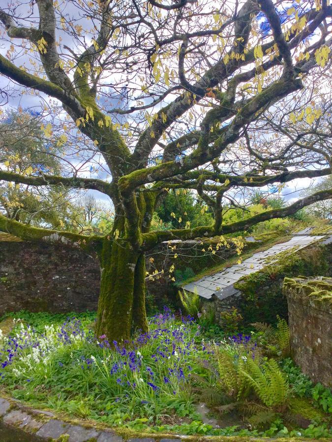 Minane Bridge Willowhill House Bed & Breakfast エクステリア 写真