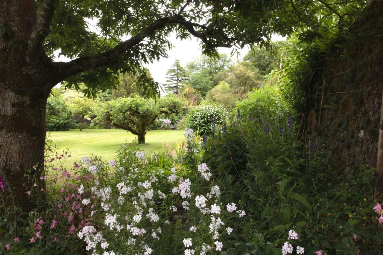 Minane Bridge Willowhill House Bed & Breakfast エクステリア 写真