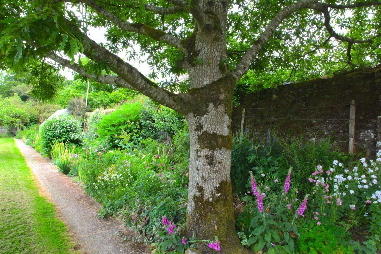 Minane Bridge Willowhill House Bed & Breakfast エクステリア 写真